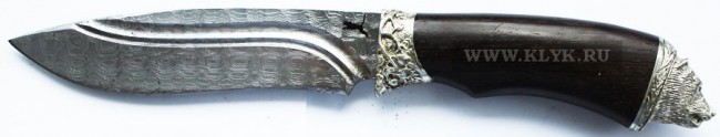 bars-akula3-dvmg-sm.jpg